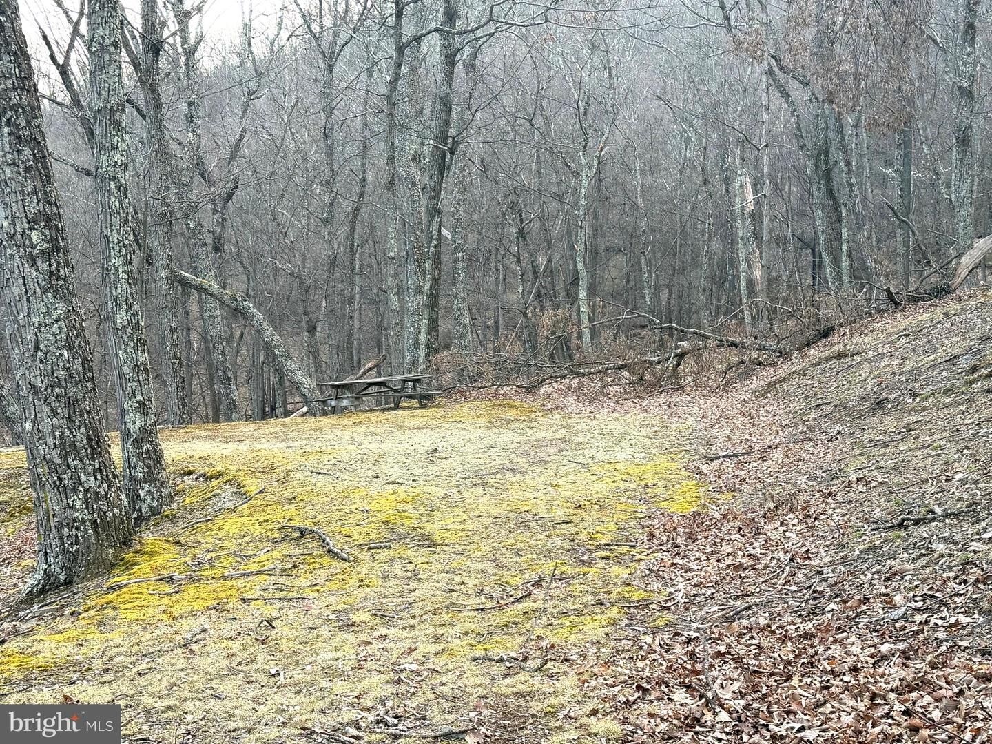 Property Photo: Lot 5 Preserve Road WV 26743