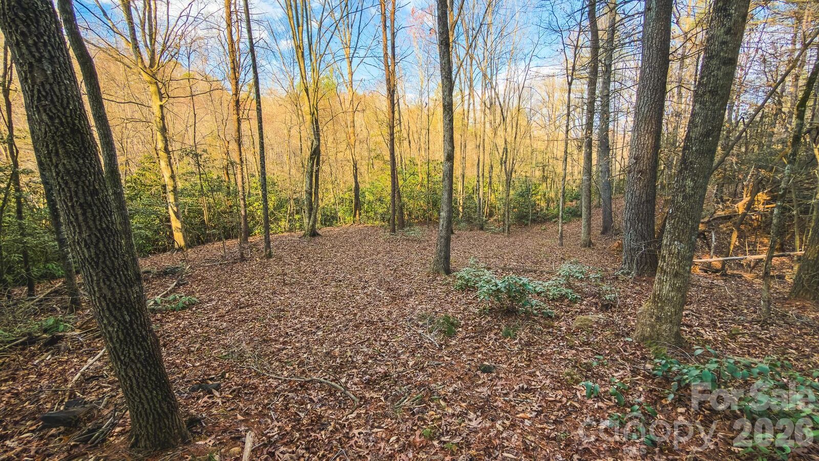 Property Photo: Tbd All Healing Springs Road 2 NC 28681