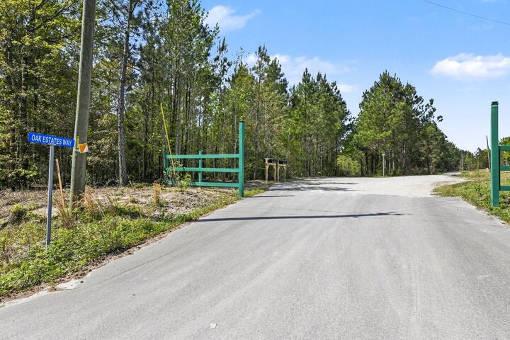 Property Photo:  132 Oak Estates Way  SC 29472 