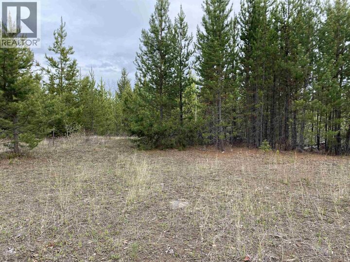 Property Photo:  Blk A 94 Mile Frontage Road  BC V0K 2E2 