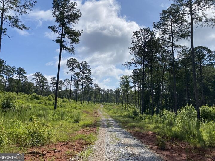 Property Photo: Lot 3 Giles Road GA 31029