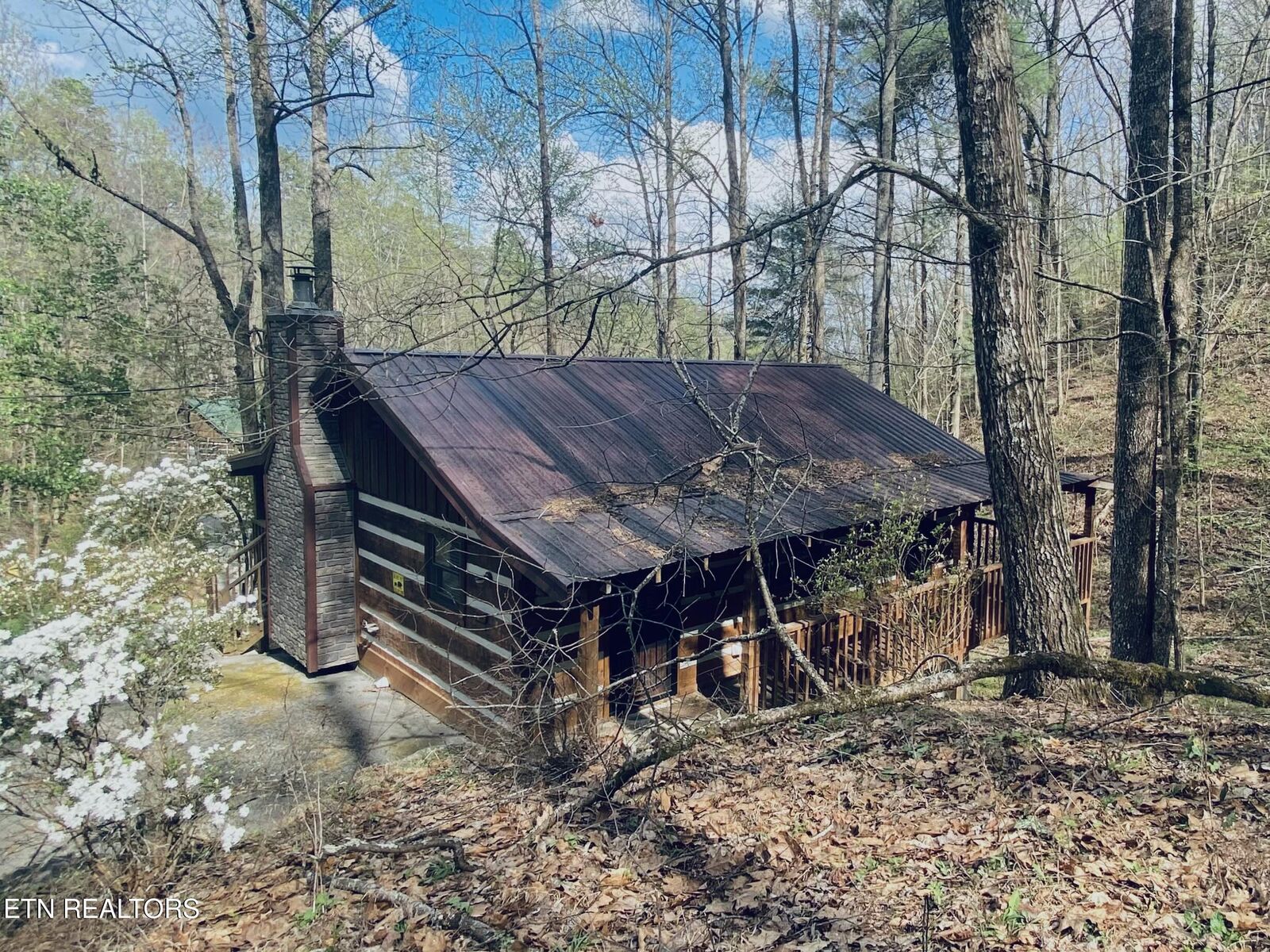 Property Photo:  2601 Black Bear Lane  TN 37876 