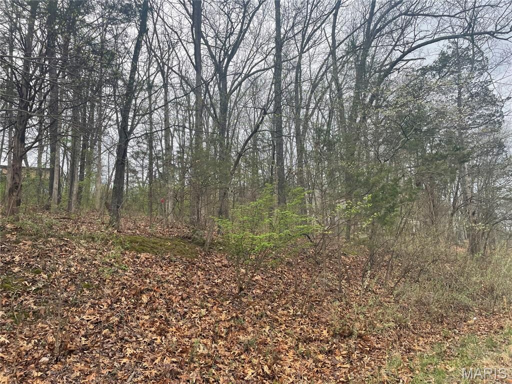 Property Photo:  6330 Sparrow Drive  MO 63036 