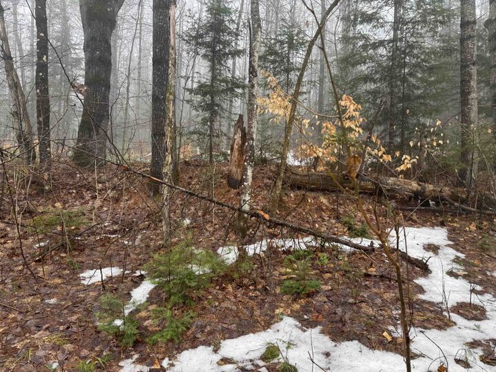 Property Photo:  3826 Leighton Hill Road  VT 05081 