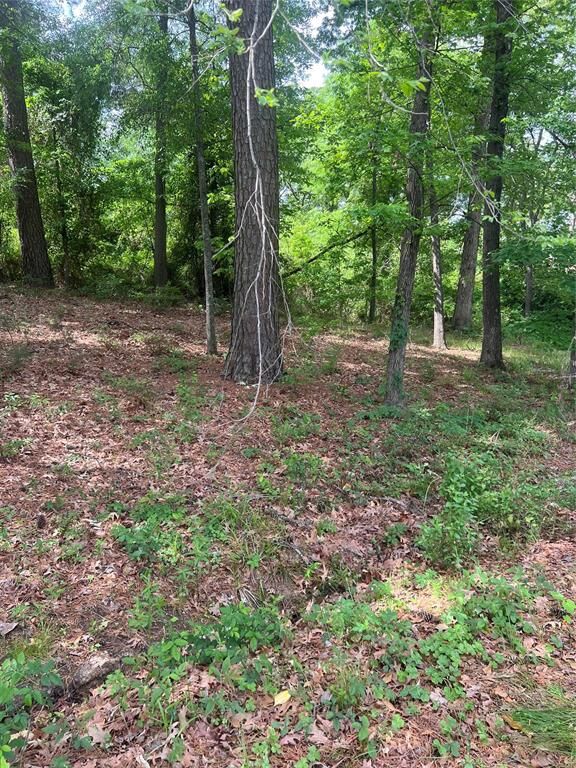 Property Photo:  5417 Briarcliff Circle  LA 71109 