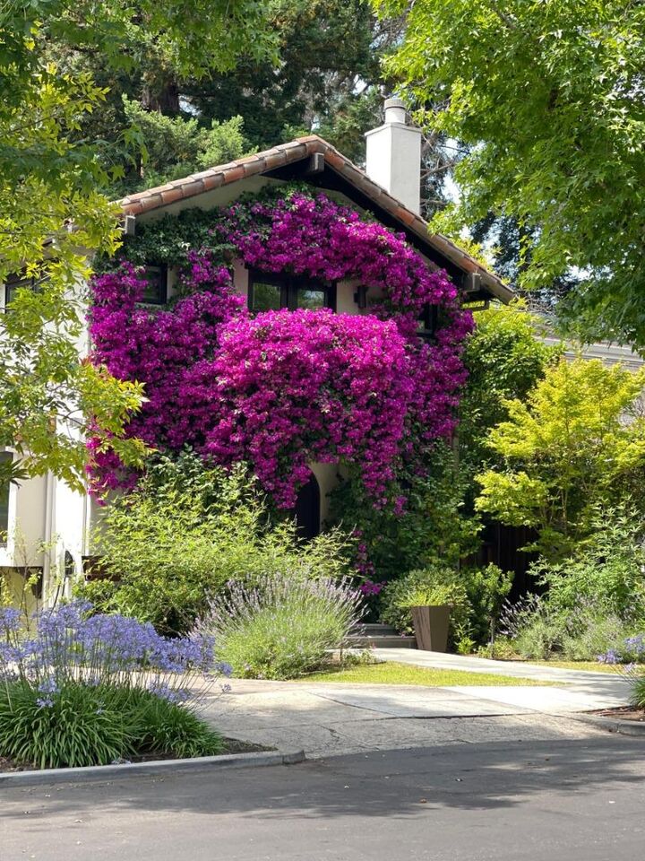 Property Photo:  850 Guinda Street  CA 94301 