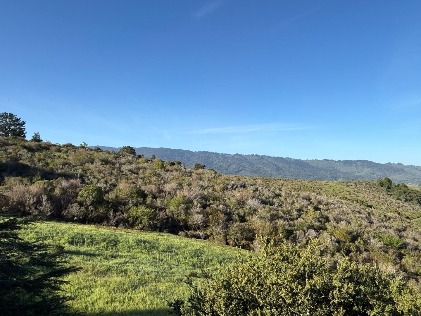 Property Photo:  228 Crestview Drive  CA 94070 