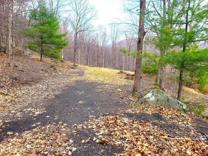 Property Photo:  20 Lion'S  NY 12409 