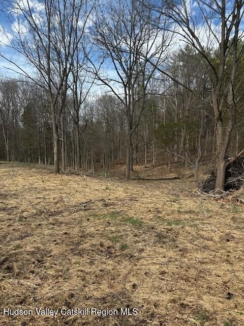 Property Photo: Lot 3 High Falls NY 12414