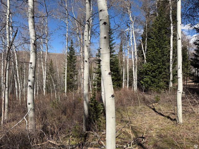 Property Photo: 5209 White Pine Cir 545 UT 84055