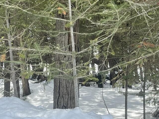 Property Photo:  1.24 Ac E Huron Drive  MI 49775 