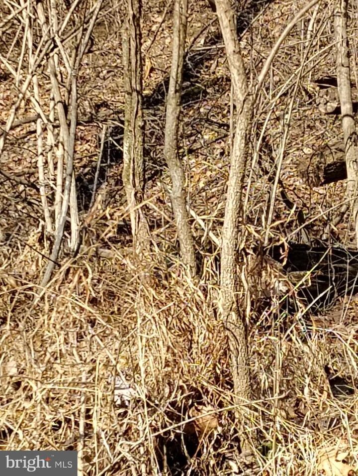 Property Photo:  Lot 2 Kistler Rd  PA 17024 