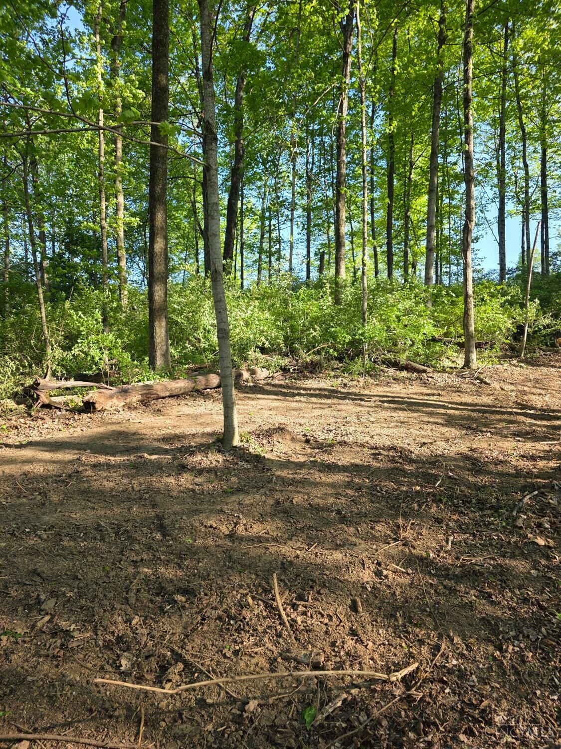 Property Photo:  11965 Stone Mill Road  OH 45251 