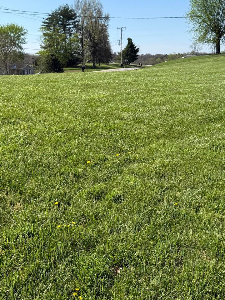 Property Photo:  3233 Tick Ridge Road  OH 45694 