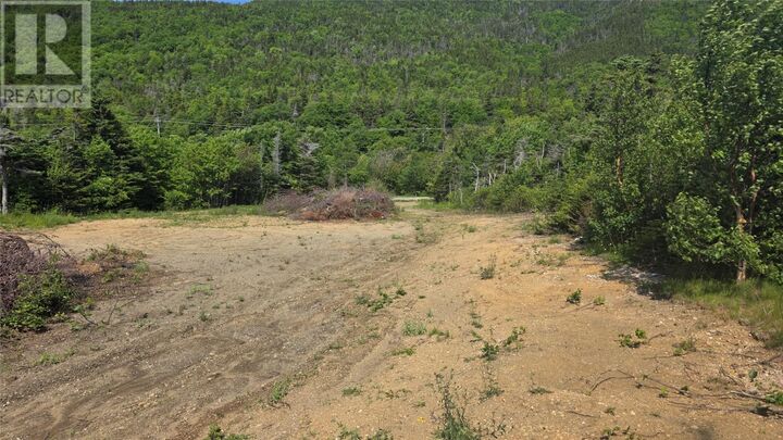 Property Photo:  45 Main Road  NL A0L 1L0 