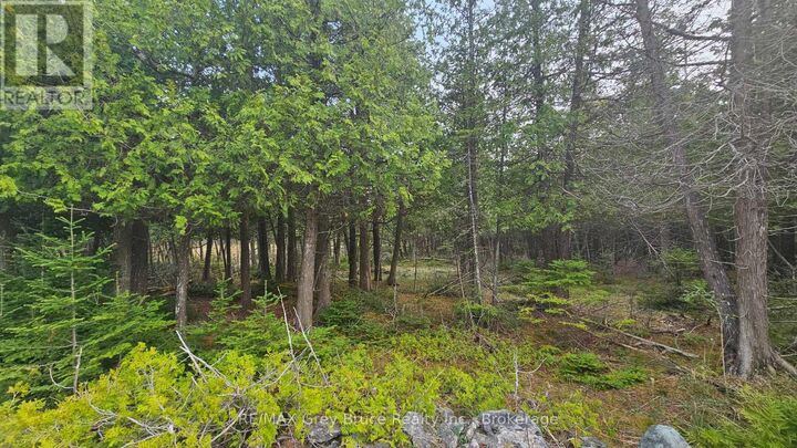 Property Photo:  Lt 254 Dorcas Bay Road  ON N0H 2R0 