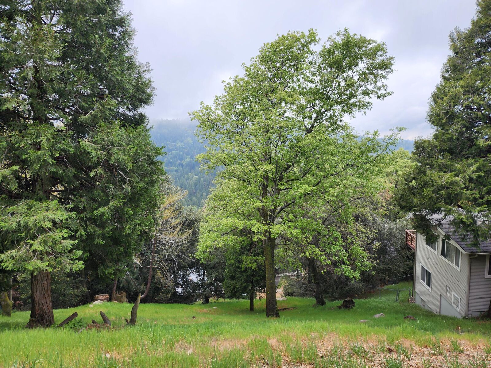 Property Photo: 0 Basel Drive CA 92325