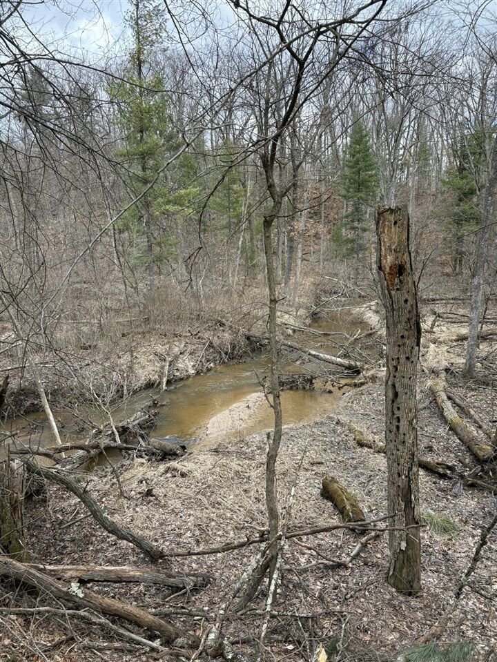Property Photo:  0 Linderman Road  MI 49425 