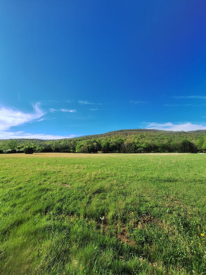 Property Photo:  0 Hawkins Cove Rd  TN 37318 