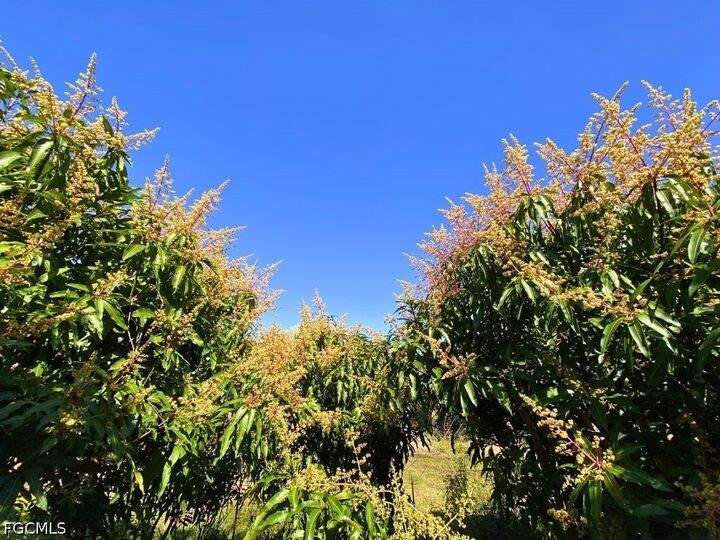 Property Photo:  6640 Sunrise Lane  FL 33922 