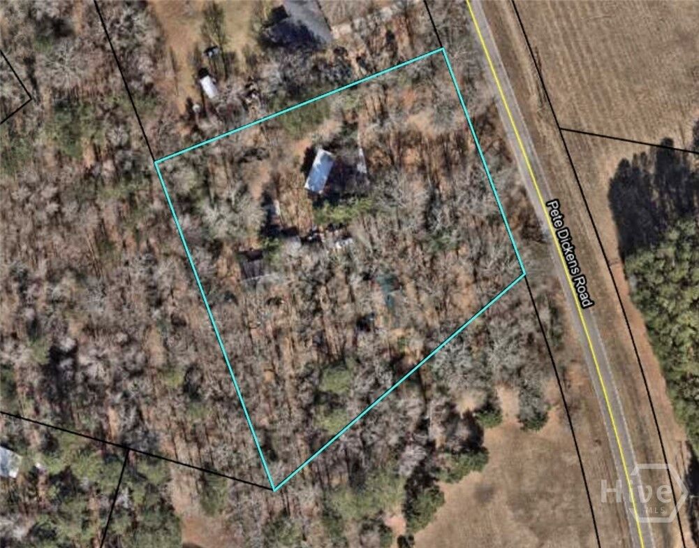 Property Photo:  1541 Pete Dickens Road  GA 30622 