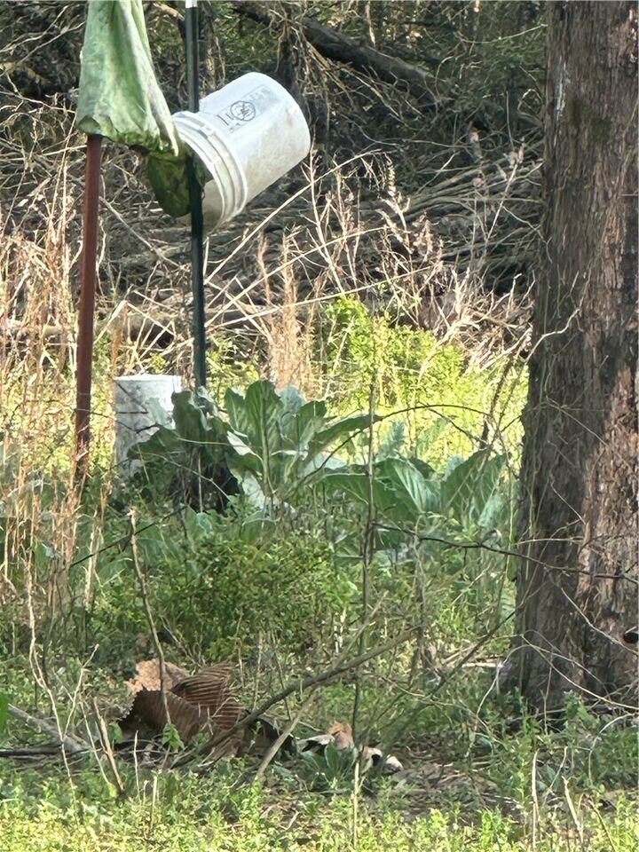 Property Photo:  000 Cr 3161  AR 72830 