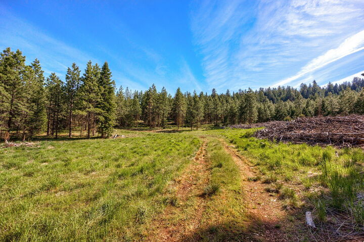 Property Photo:  0 Jenny Cr Road  OR 97520 