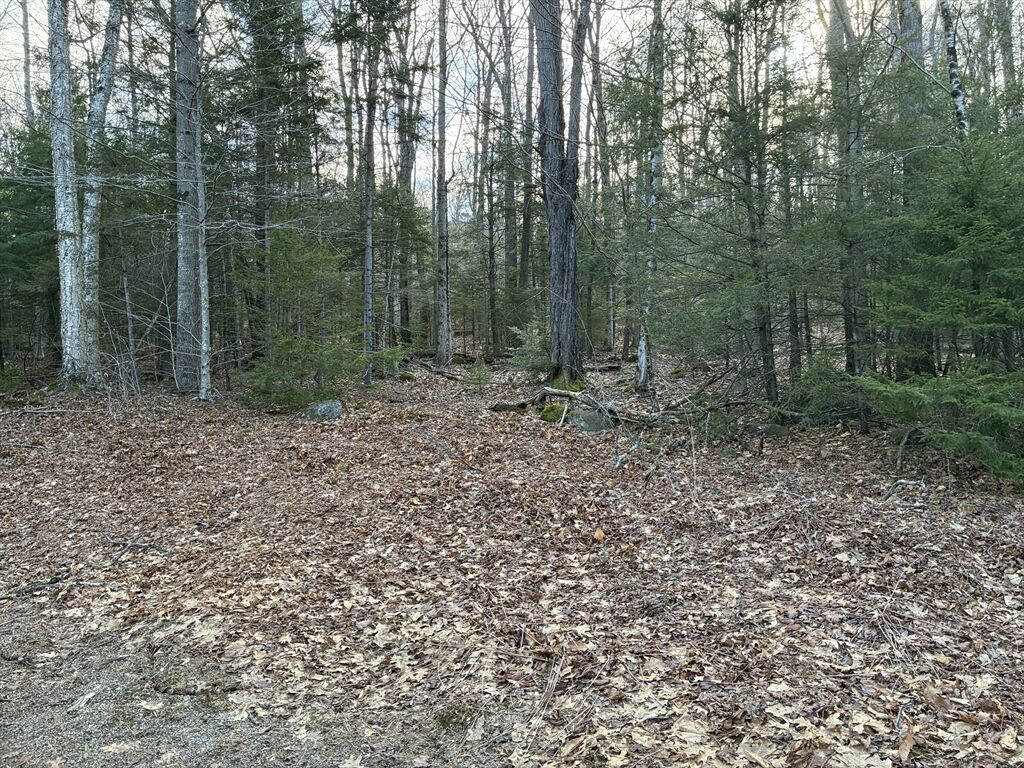Property Photo:  5 Leshure Rd  MA 01367 