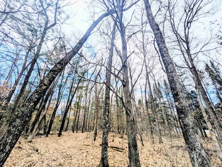 Property Photo:  0 11th Avenue  WI 53934 