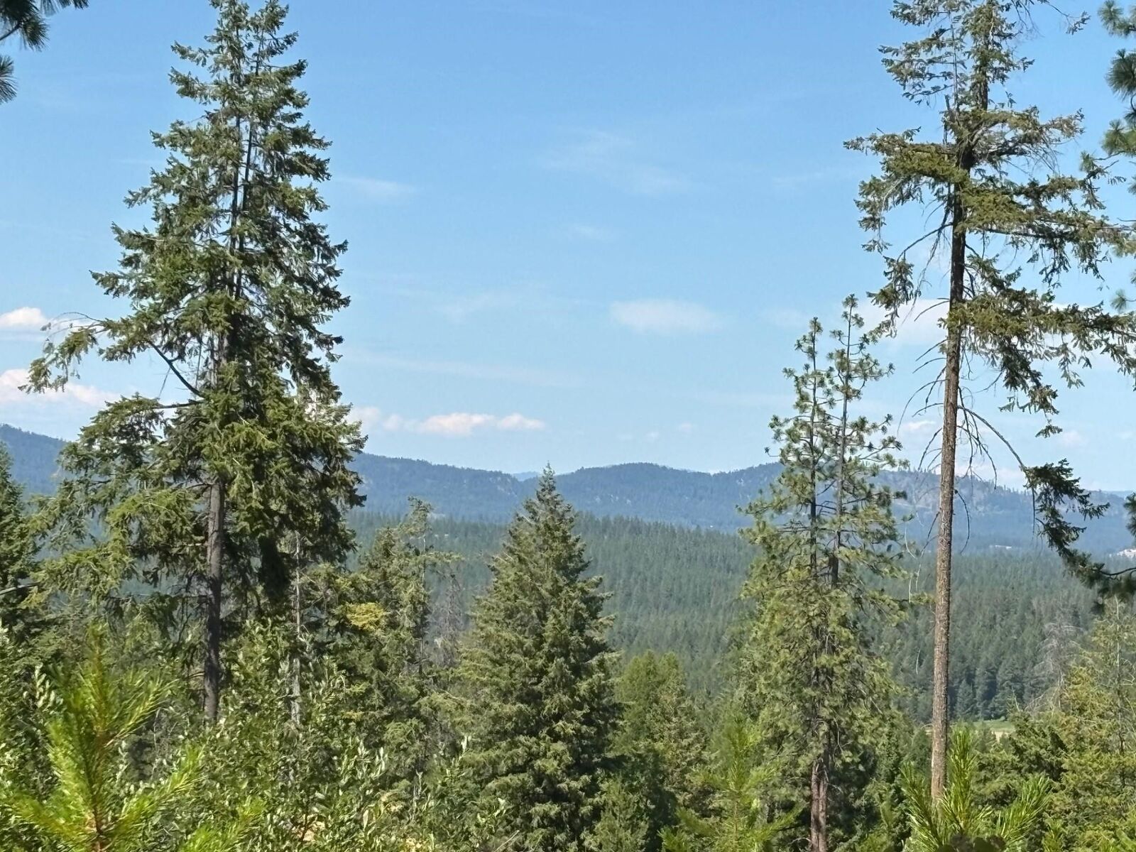 Property Photo:  34711 N Waldrons Ln 49311.9012  WA 99003 