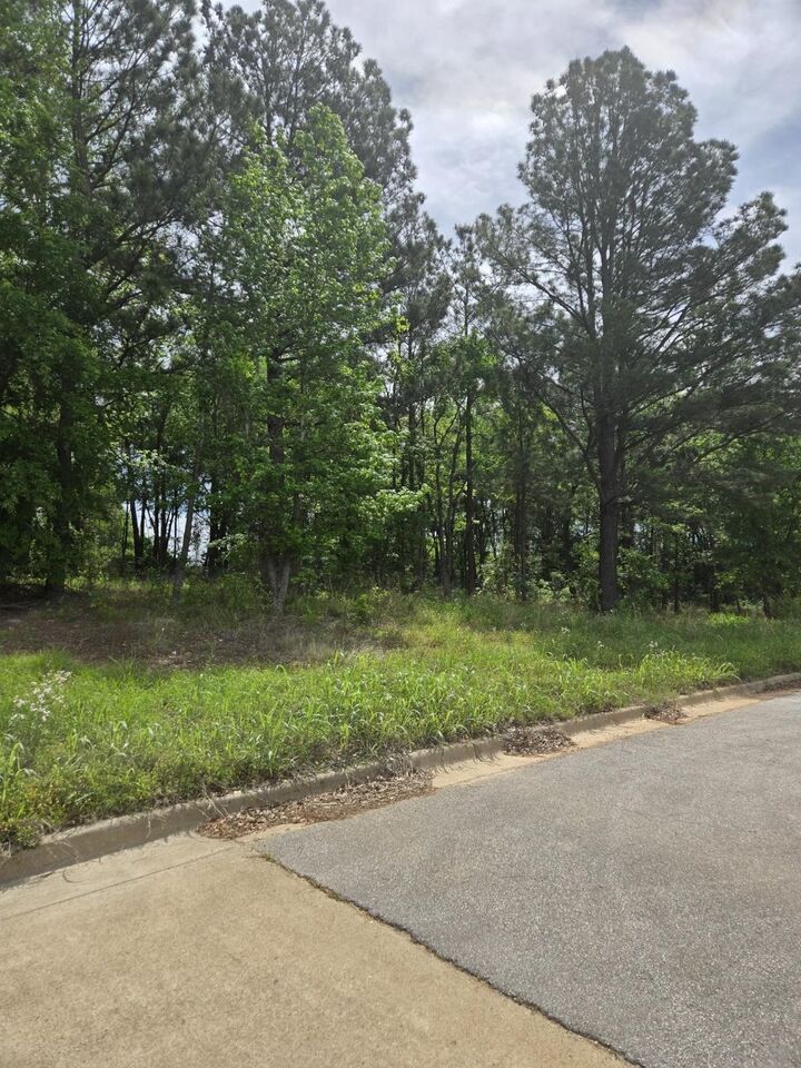 Property Photo: Lot 8 Kenswick Dr TX 75654