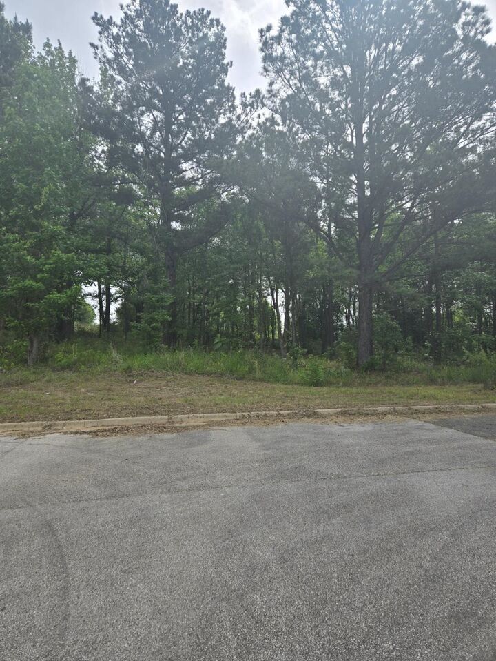 Property Photo:  Lot 8 Kenswick Dr  TX 75654 