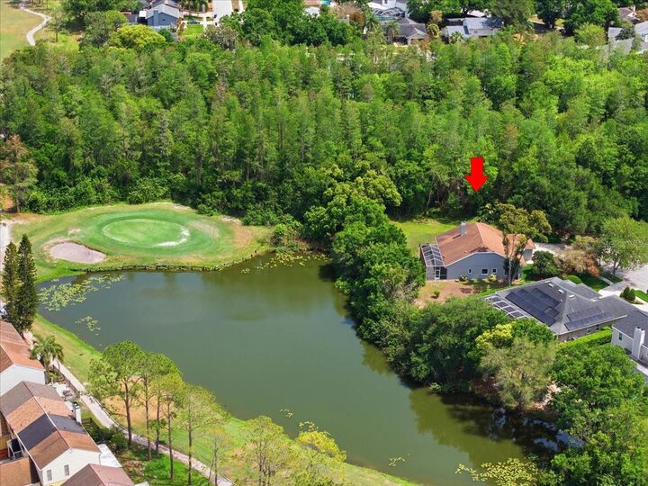 Property Photo: 4401 Kettle Creek Court FL 33624