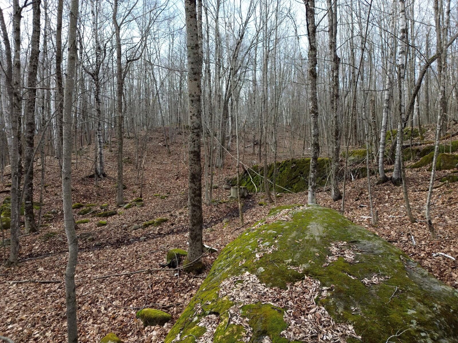 Property Photo:  62 Grove Street  ME 04930 