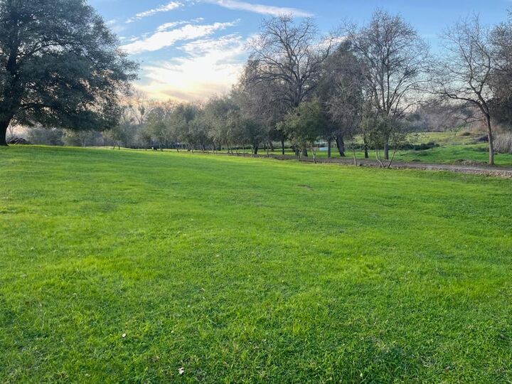 Property Photo:  3117 Garden Bar Road  CA 95648 