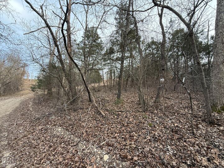 Property Photo:  1 Mallard Drive  AR 72630 