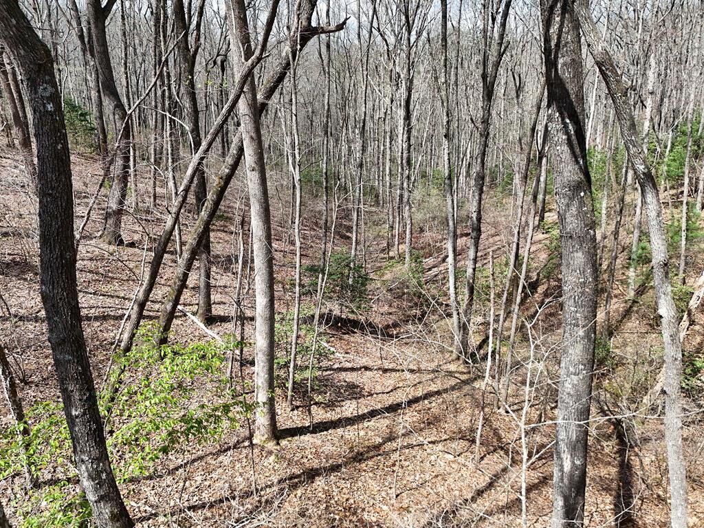 Property Photo:  L129/124 Laurel Crossing  GA 30513 