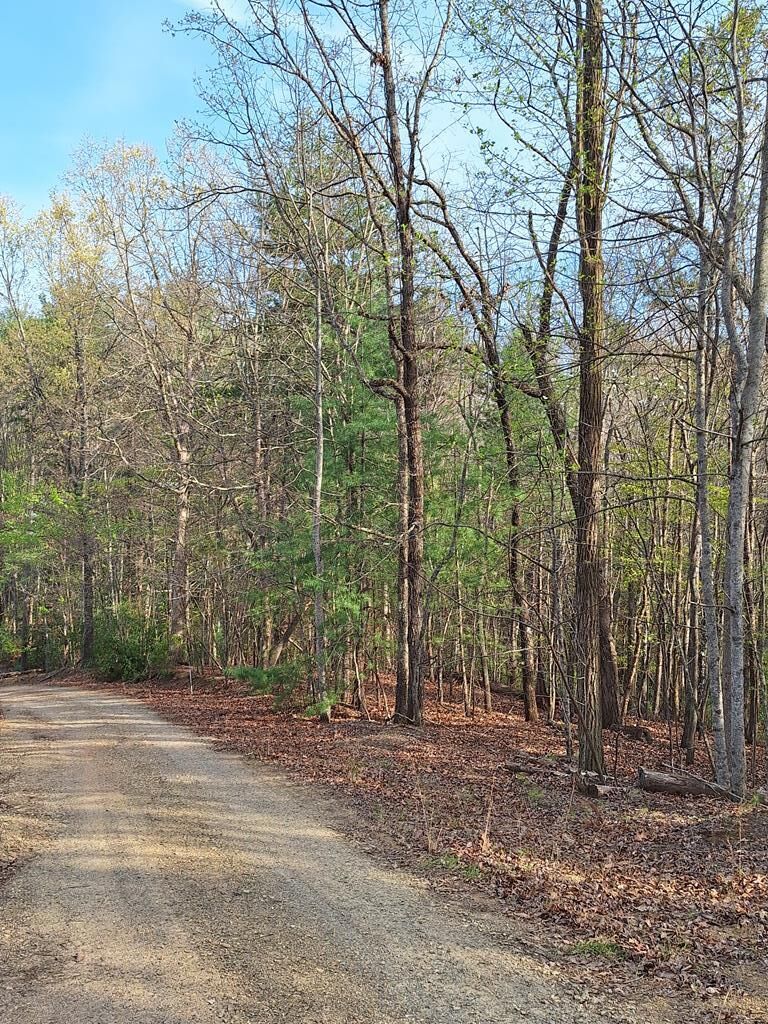 Property Photo:  Lot 22 Mull Lane Cir, Lt 22  GA 30560 