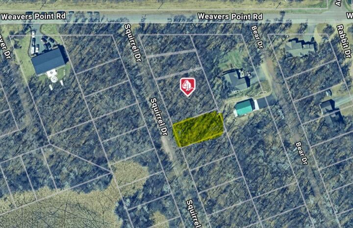 Property Photo: Xxx Tbd Squirrel Drive MN 56472