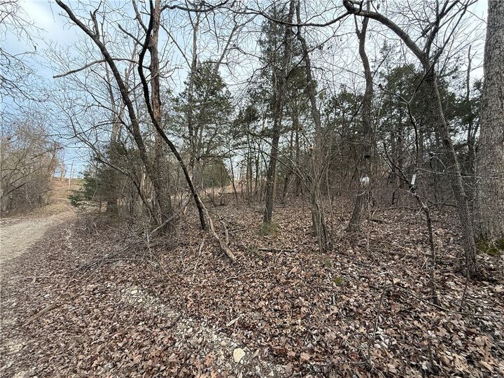 Property Photo:  Mallard Drive  AR 72630 