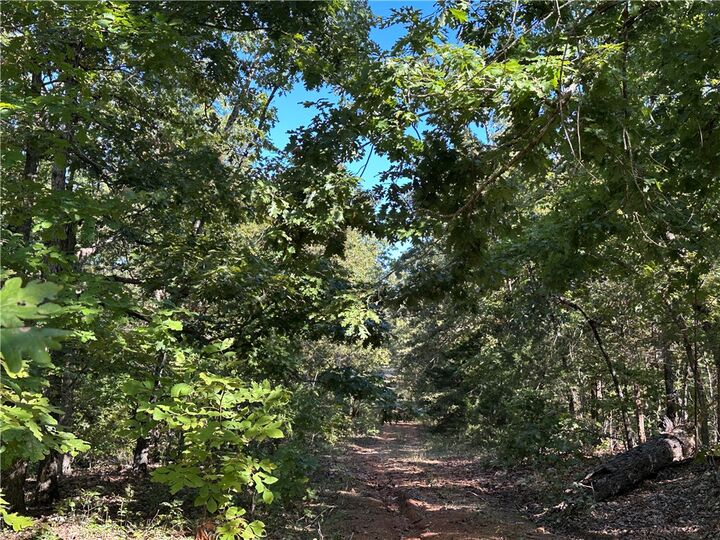 Property Photo:  1609 Old Strawbery Lane  AR 72512 