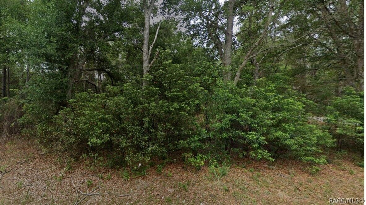 Property Photo:  8547 N Fauci Point  FL 34428 