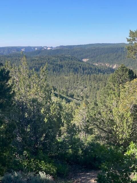 Property Photo:  Lot 13 Fitzwater  UT 84767 