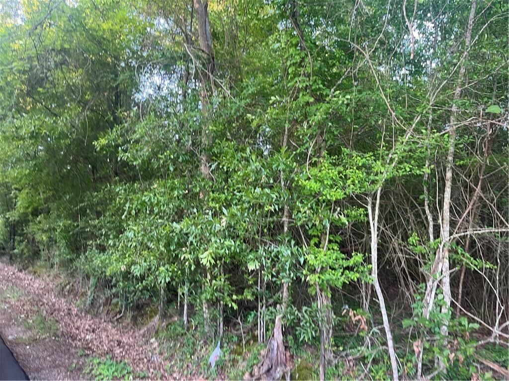 Property Photo:  Faith Mission Baptist Road  LA 71351 