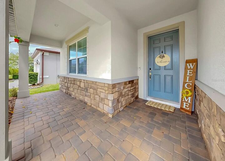 Property Photo:  10322 Wine Press Avenue  FL 33578 