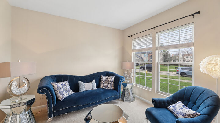 Property Photo:  210 Honeysuckle Street  IL 60490 