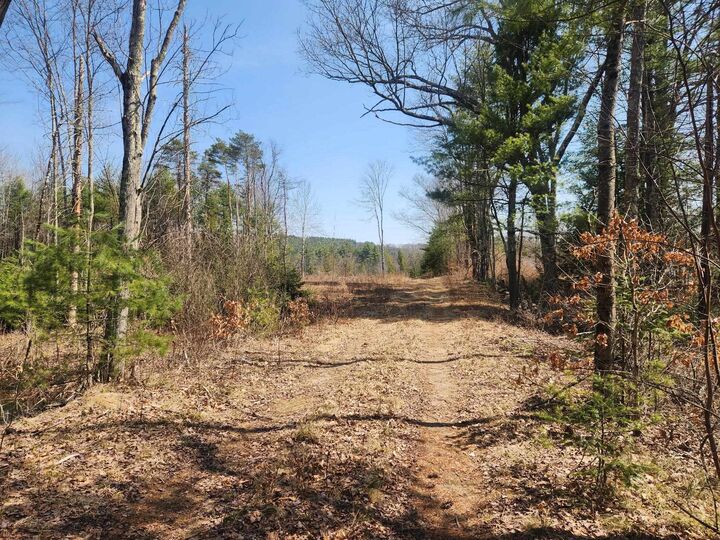 Property Photo: 455 (39-4) Maple Street NH 03229