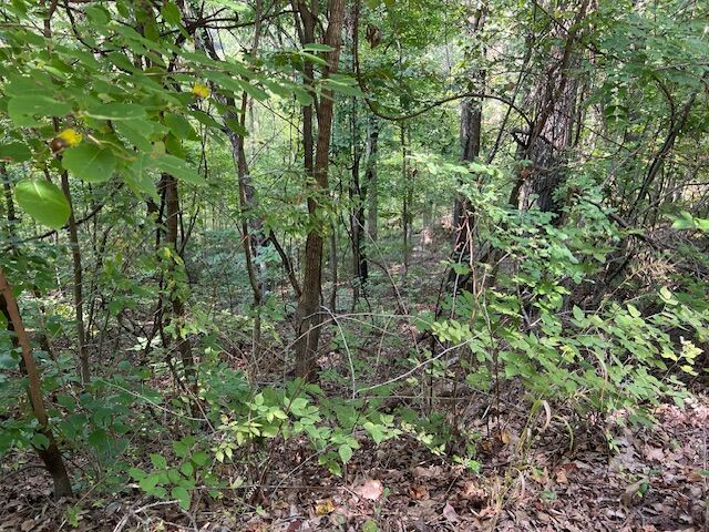 Property Photo:  89 Sunrise Avenue  AR 72631 