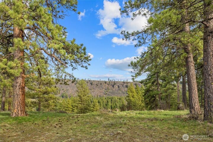 Property Photo:  297  Swauk Pines Road  WA 98922 