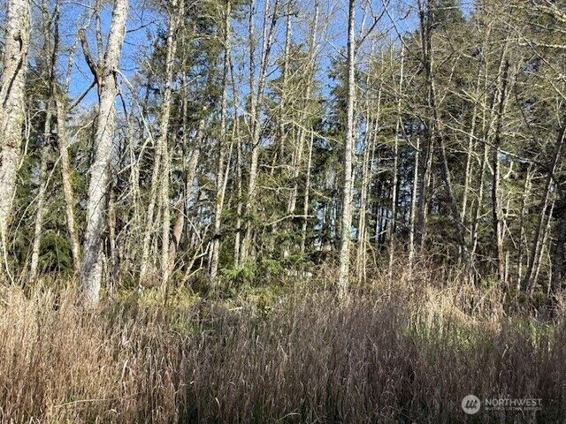 Property Photo:  0 Lot 16  Ander Park Road  WA 98249 